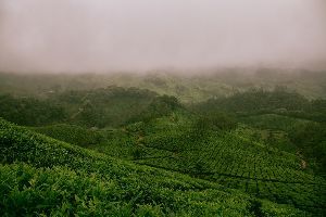 BR Hills